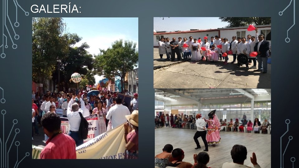 GALERÍA: GALERÍA: