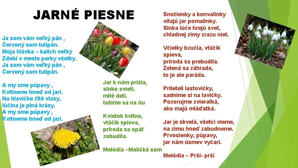 JARNÉ PIESNE Ja som vám veľký pán , Červený som tulipán. Moja hlávka –