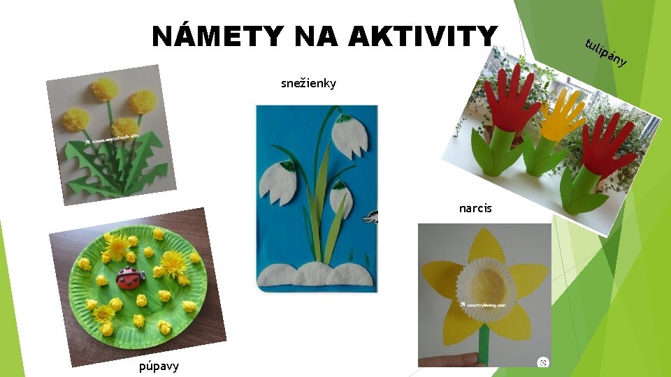 NÁMETY NA AKTIVITY snežienky narcis púpavy tul ipá ny 