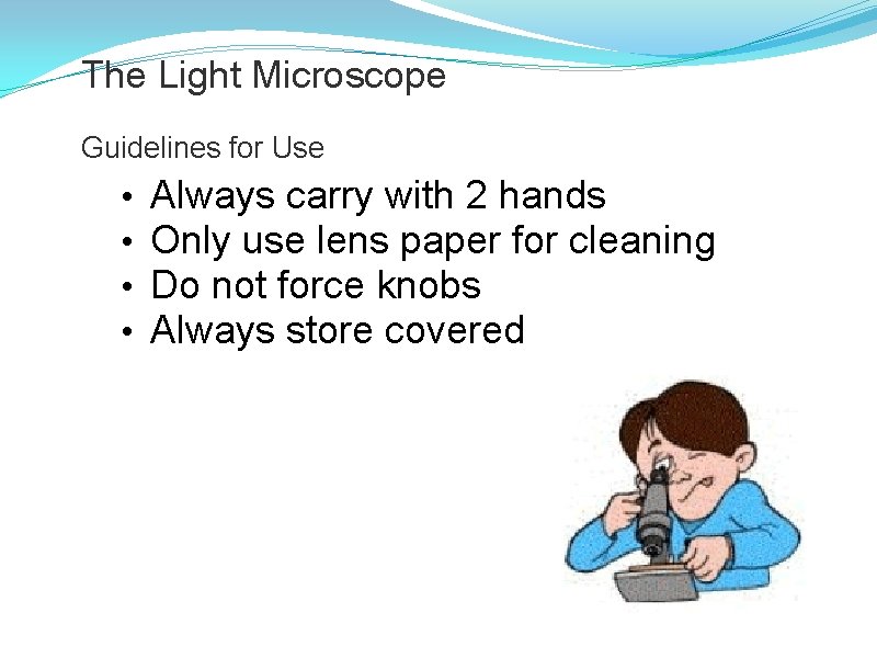 The Light Microscope Guidelines for Use • • Always carry with 2 hands Only