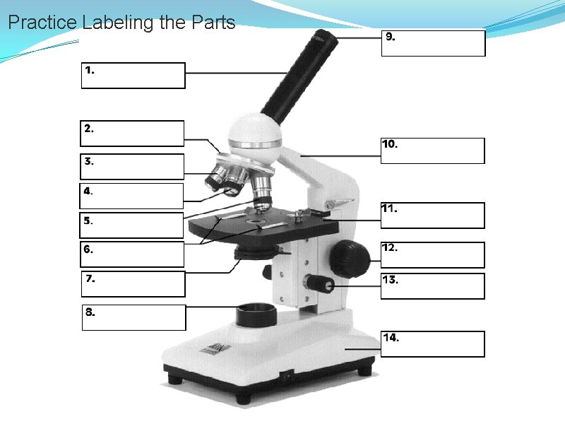 Practice Labeling the Parts 