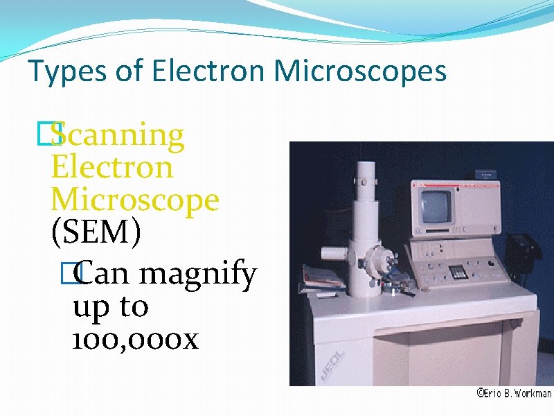 Types of Electron Microscopes �Scanning Electron Microscope (SEM) �Can magnify up to 100, 000
