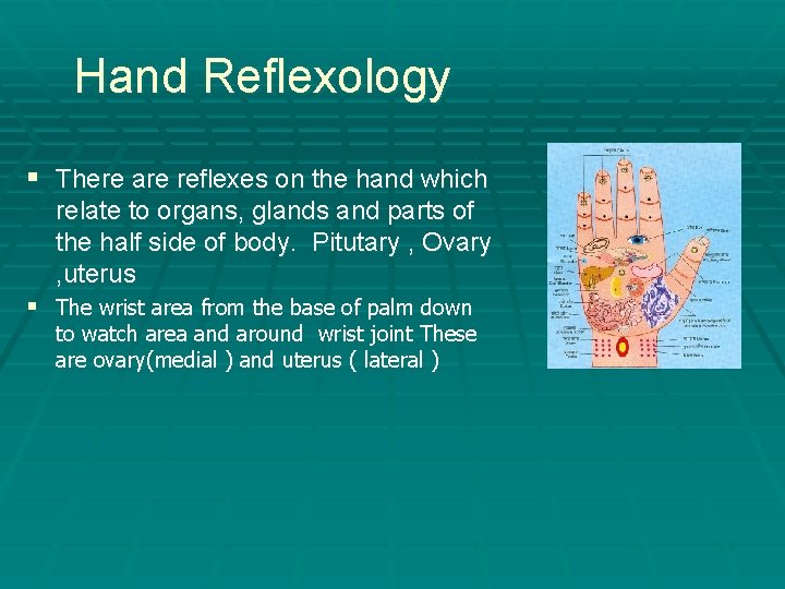 Hand Reflexology § There are reflexes on the hand which relate to organs, glands