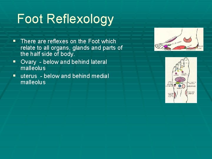 Foot Reflexology § There are reflexes on the Foot which relate to all organs,