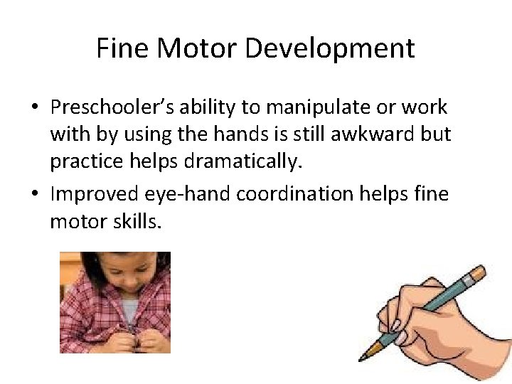 Fine Motor Development • Preschooler’s ability to manipulate or work with by using the