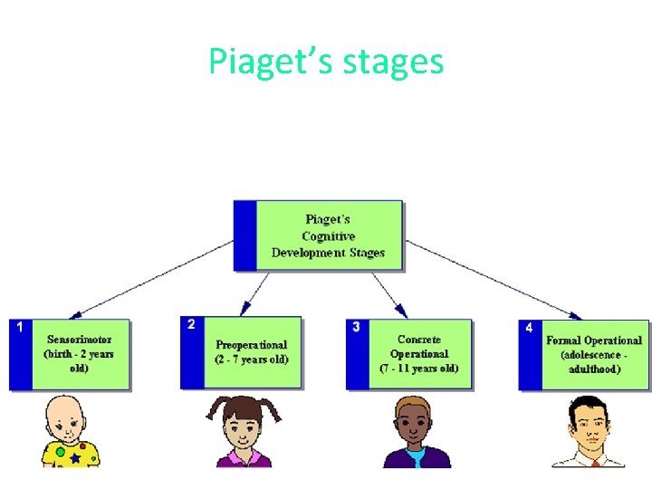 Piaget’s stages 