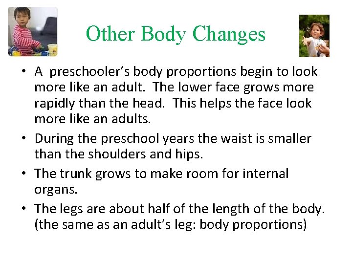 Other Body Changes • A preschooler’s body proportions begin to look more like an