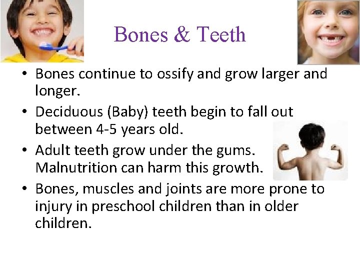 Bones & Teeth • Bones continue to ossify and grow larger and longer. •