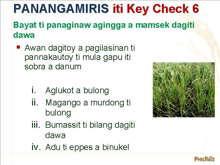 PANANGAMIRIS iti Key Check 6 Bayat ti panaginaw agingga a mamsek dagiti dawa §