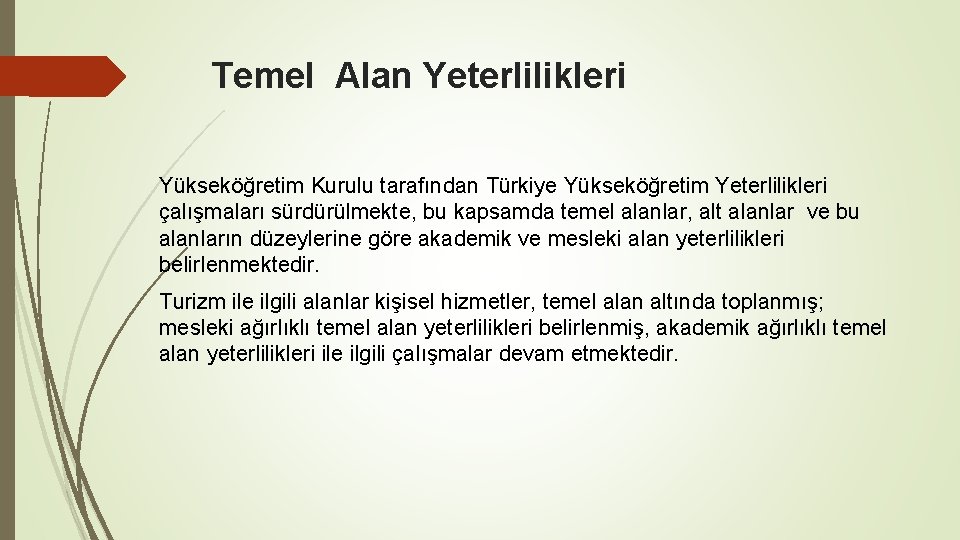 Temel Alan Yeterlilikleri Yükseköğretim Kurulu tarafından Türkiye Yükseköğretim Yeterlilikleri çalışmaları sürdürülmekte, bu kapsamda temel