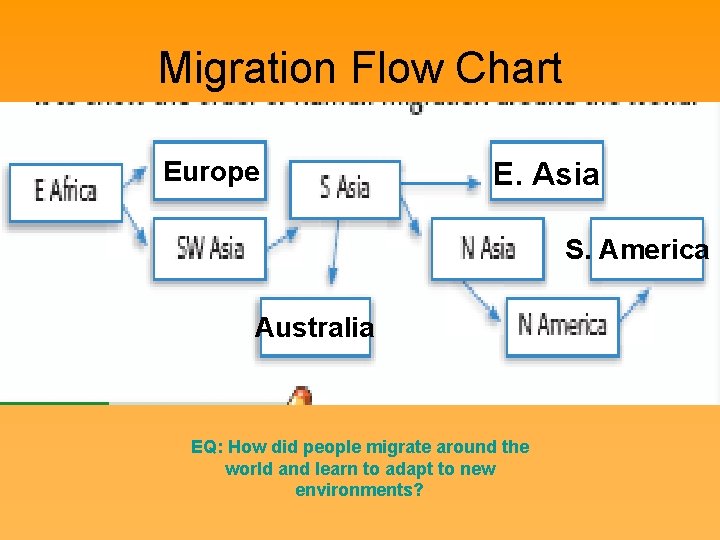 Migration Flow Chart Europe E. Asia S. America Australia EQ: How did people migrate