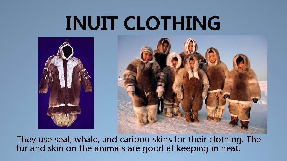 INUIT CLOTHING They use seal, whale, and caribou skins for their clothing. The fur