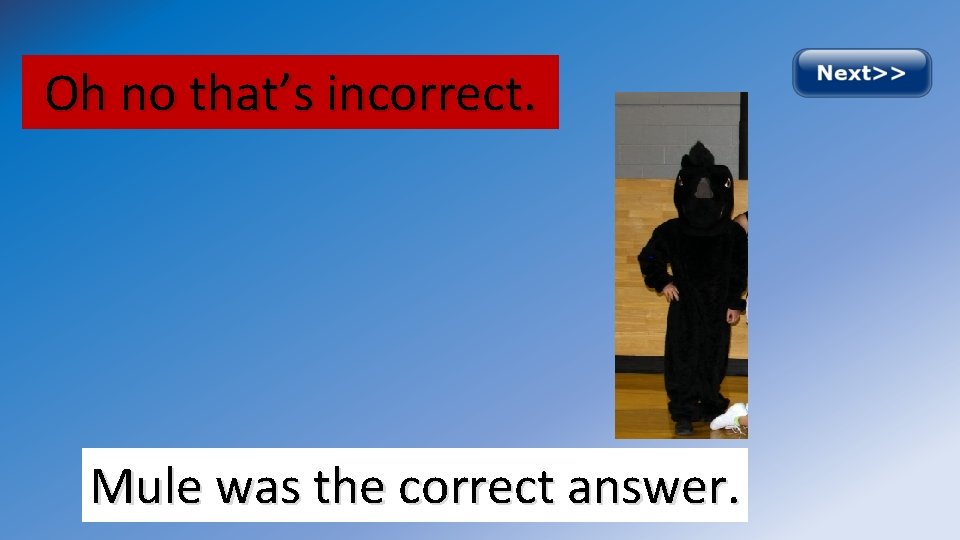 Oh no that’s incorrect. Mule was the correct answer. 