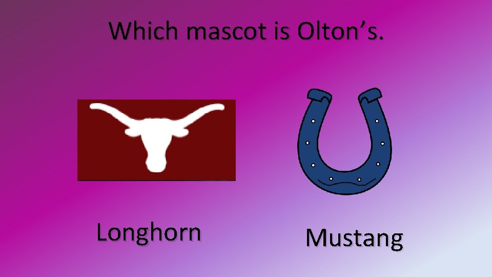 Which mascot is Olton’s. Longhorn Mustang 