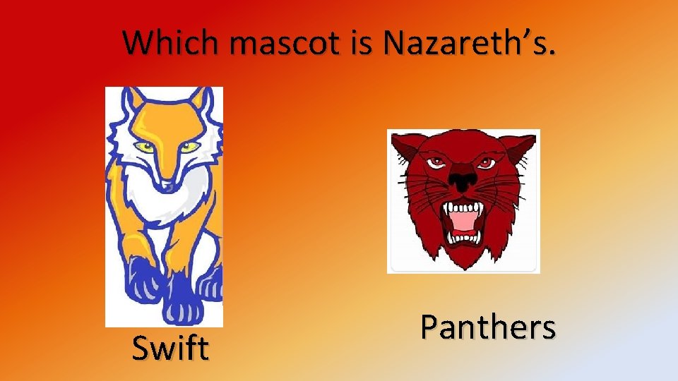 Which mascot is Nazareth’s. Swift Panthers 