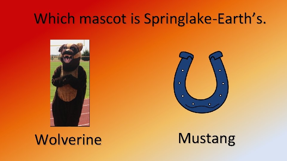 Which mascot is Springlake-Earth’s. Wolverine Mustang 