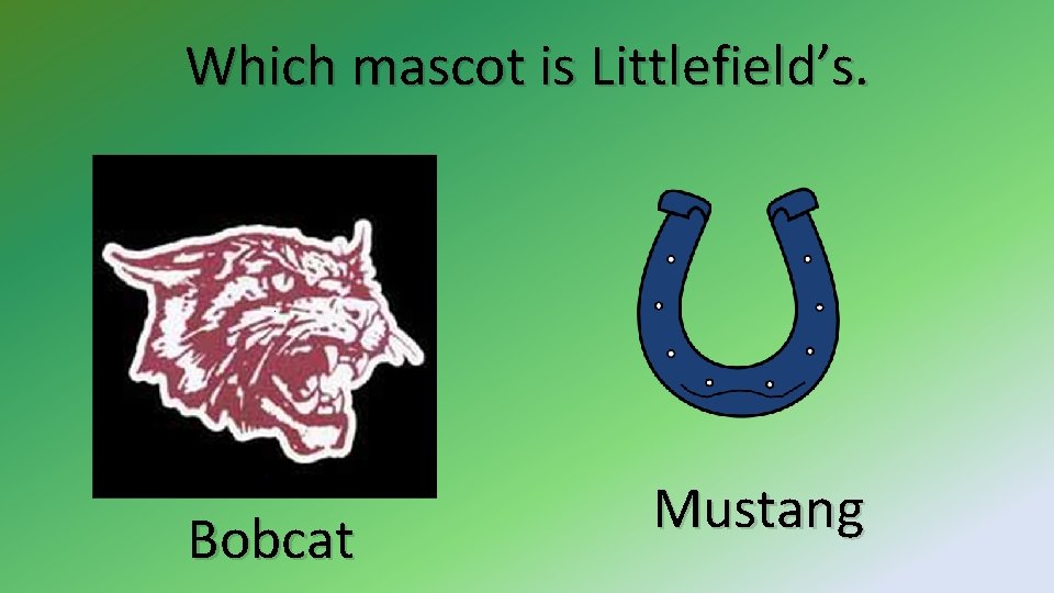 Which mascot is Littlefield’s. Bobcat Mustang 
