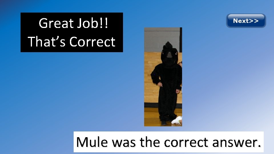 Great Job!! That’s Correct. Mule was the correct answer. 