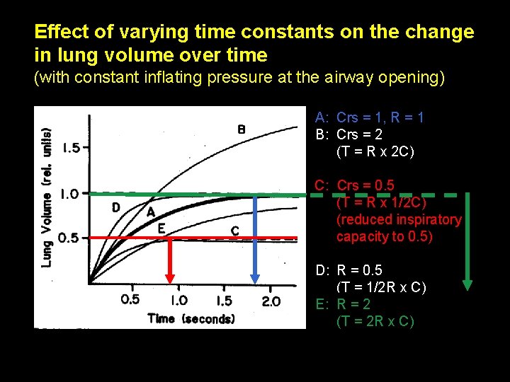 Effect of varying time constants on the change in lung volume over time (with