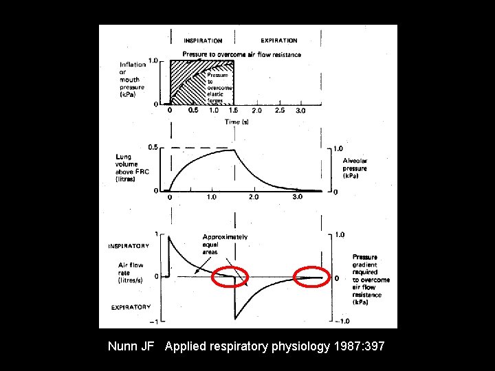 Nunn JF Applied respiratory physiology 1987: 397 