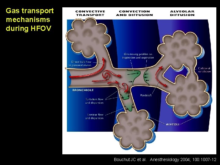 Gas transport mechanisms during HFOV Bouchut JC et al. Anesthesiology 2004; 100: 1007 -12