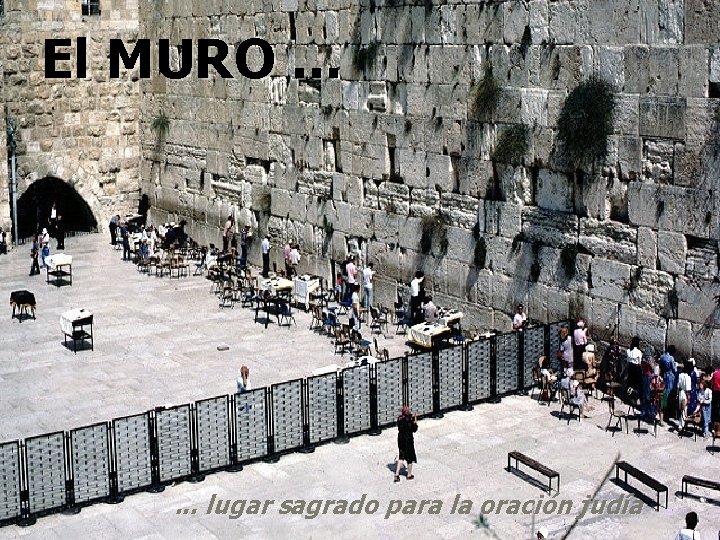 El MURO. . . lugar sagrado para la oración judía 