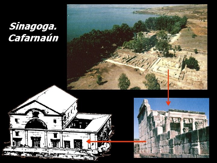 Sinagoga. Cafarnaún 