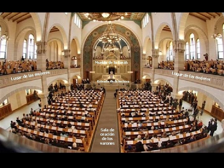 Mueble de la Toráh L e las ugar d es mujer Lugar Estrado de