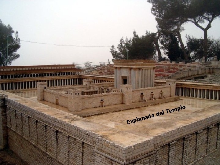 lo ada n a l Exp d mp e T l e 