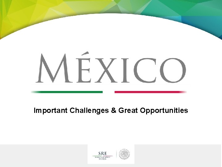 Important Challenges & Great Opportunities 