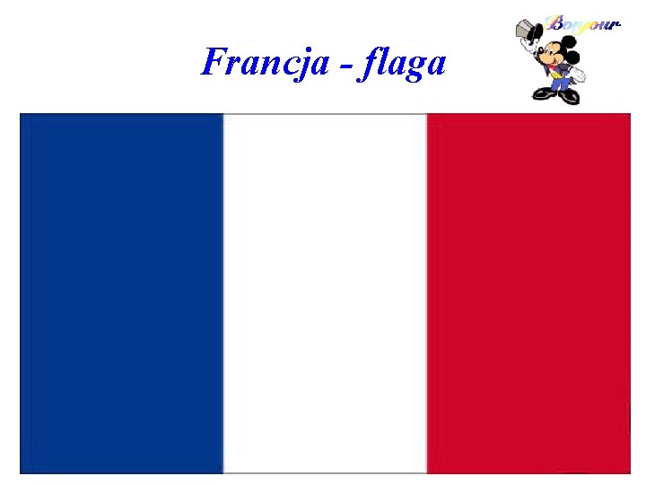 Francja - flaga 