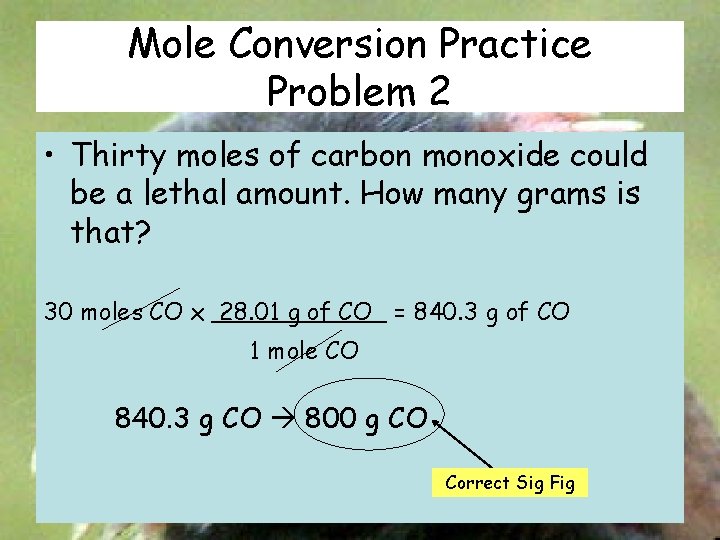 Mole Conversion Practice Problem 2 • Thirty moles of carbon monoxide could be a