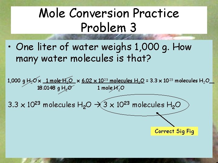 Mole Conversion Practice Problem 3 • One liter of water weighs 1, 000 g.