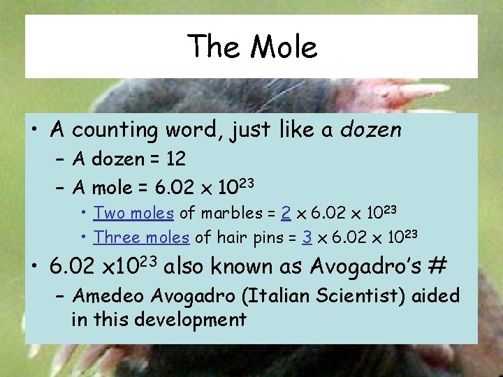 The Mole • A counting word, just like a dozen – A dozen =