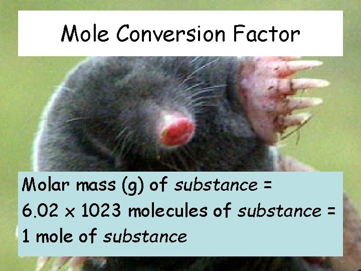 Mole Conversion Factor Molar mass (g) of substance = 6. 02 x 1023 molecules