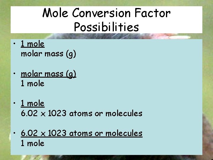 Mole Conversion Factor Possibilities • 1 mole molar mass (g) • molar mass (g)