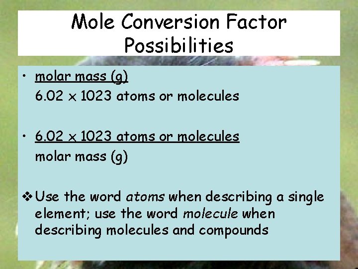 Mole Conversion Factor Possibilities • molar mass (g) 6. 02 x 1023 atoms or