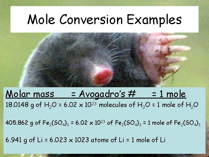 Mole Conversion Examples Molar mass = Avogadro’s # = 1 mole 18. 0148 g