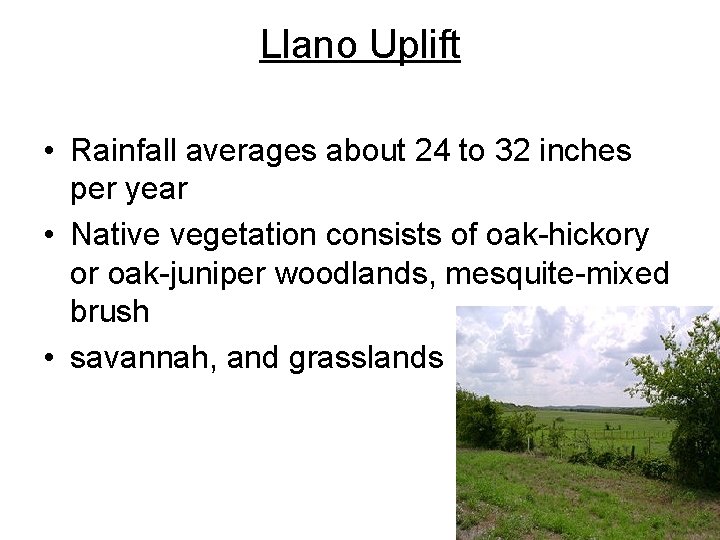 Llano Uplift • Rainfall averages about 24 to 32 inches per year • Native Llano Uplift • Rainfall averages about 24 to 32 inches per year • Native