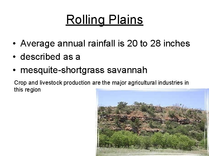 Rolling Plains • Average annual rainfall is 20 to 28 inches • described as Rolling Plains • Average annual rainfall is 20 to 28 inches • described as
