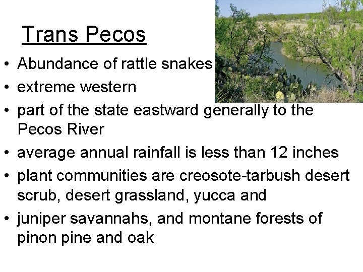 Trans Pecos • Abundance of rattle snakes • extreme western • part of the