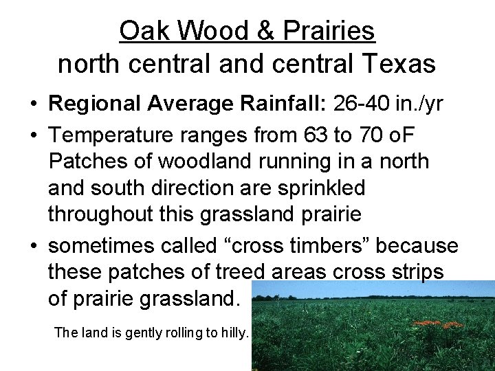 Oak Wood & Prairies north central and central Texas • Regional Average Rainfall: 26