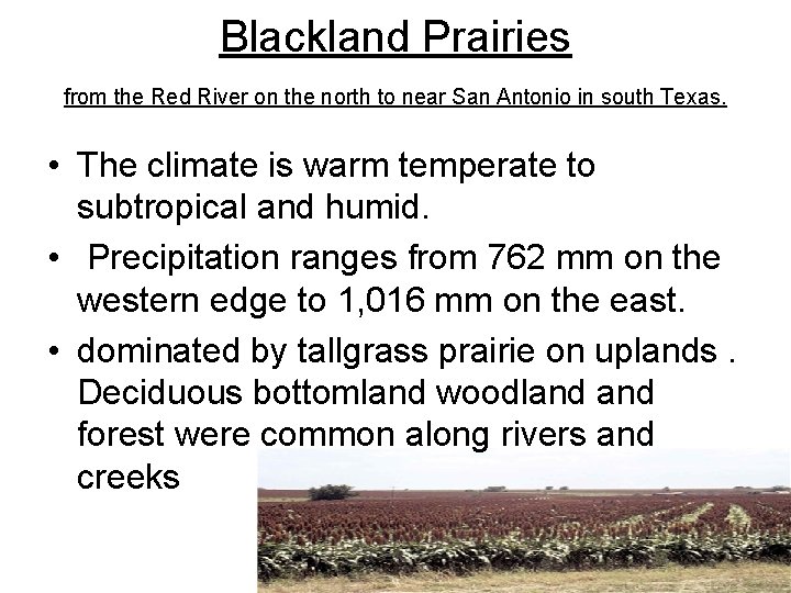 Blackland Prairies from the Red River on the north to near San Antonio in