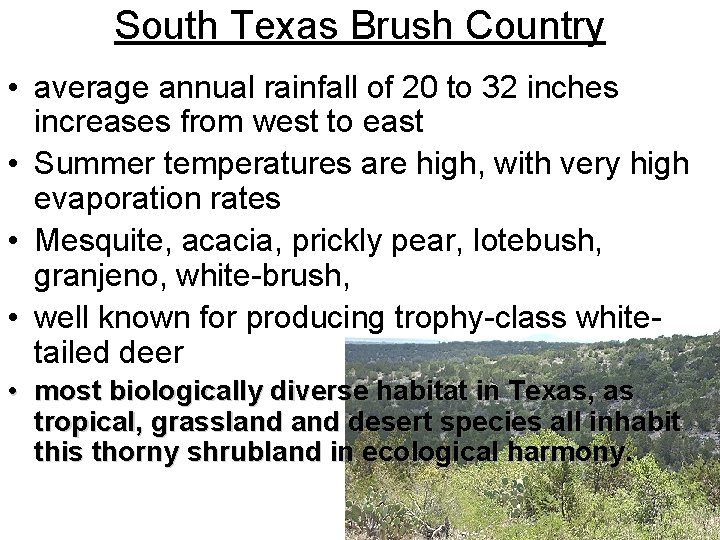 South Texas Brush Country • average annual rainfall of 20 to 32 inches increases South Texas Brush Country • average annual rainfall of 20 to 32 inches increases
