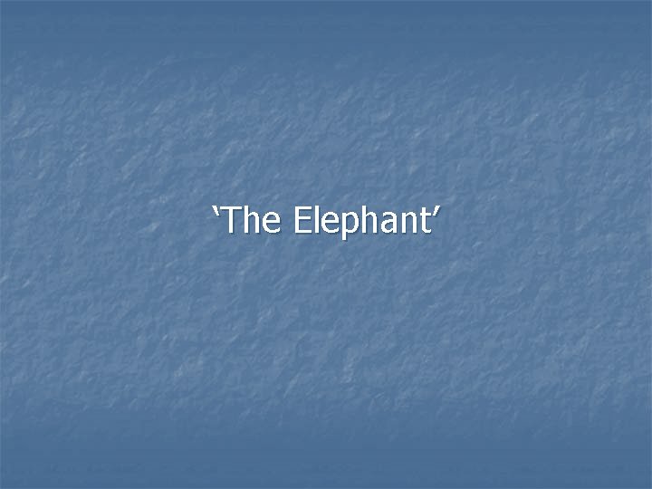 ‘The Elephant’ 