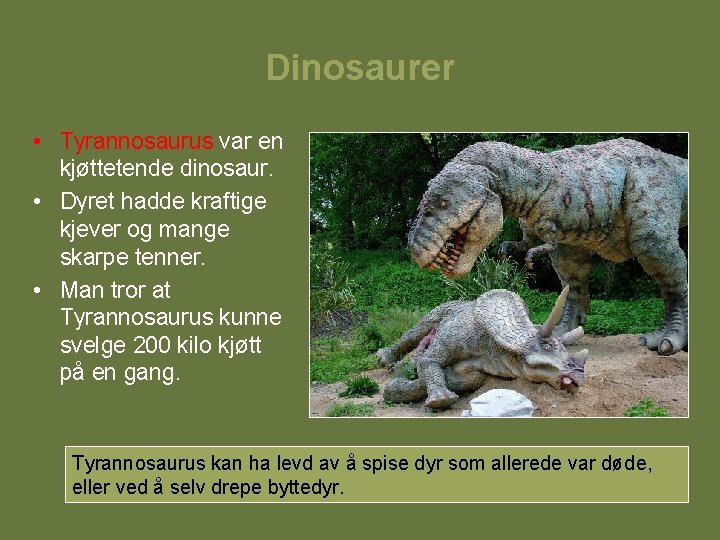 Dinosaurer • Tyrannosaurus var en kjøttetende dinosaur. • Dyret hadde kraftige kjever og mange