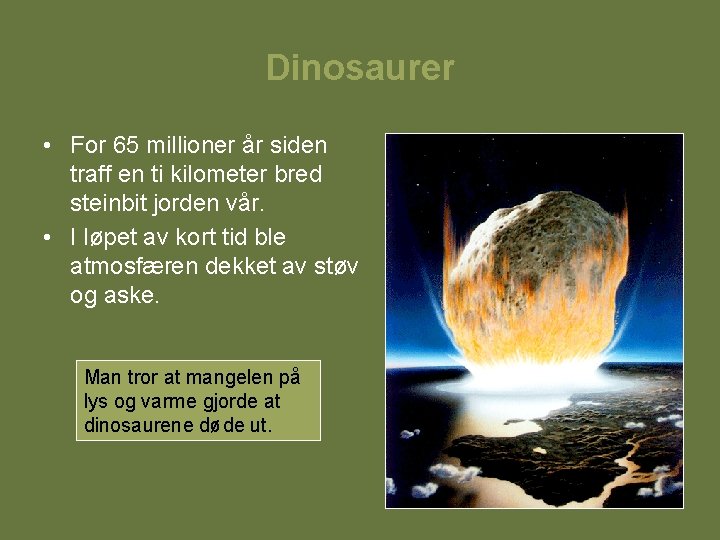 Dinosaurer • For 65 millioner år siden traff en ti kilometer bred steinbit jorden