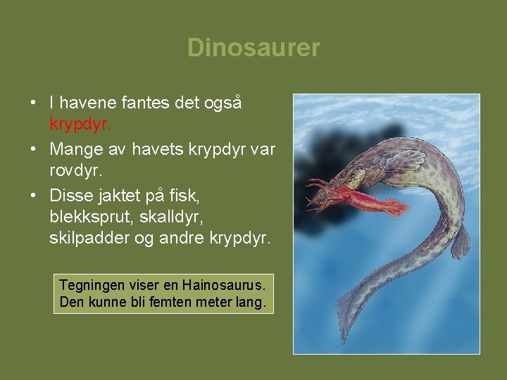 Dinosaurer • I havene fantes det også krypdyr. • Mange av havets krypdyr var