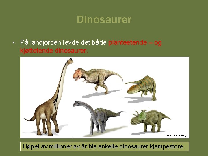 Dinosaurer • På landjorden levde det både planteetende – og kjøttetende dinosaurer. Illustrasjon: Arthur