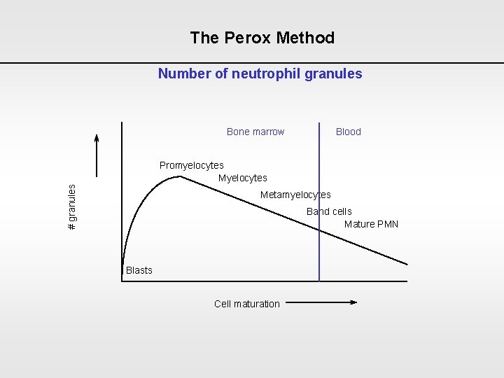 The Perox Method Number of neutrophil granules Bone marrow Blood # granules Promyelocytes Metamyelocytes